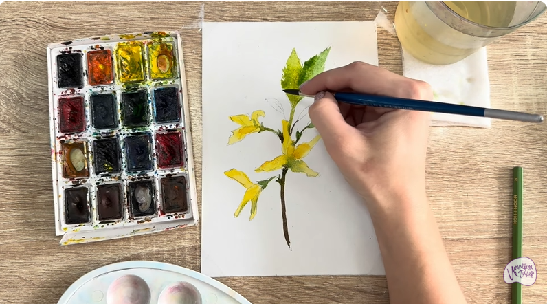 Рисуем Форзиция