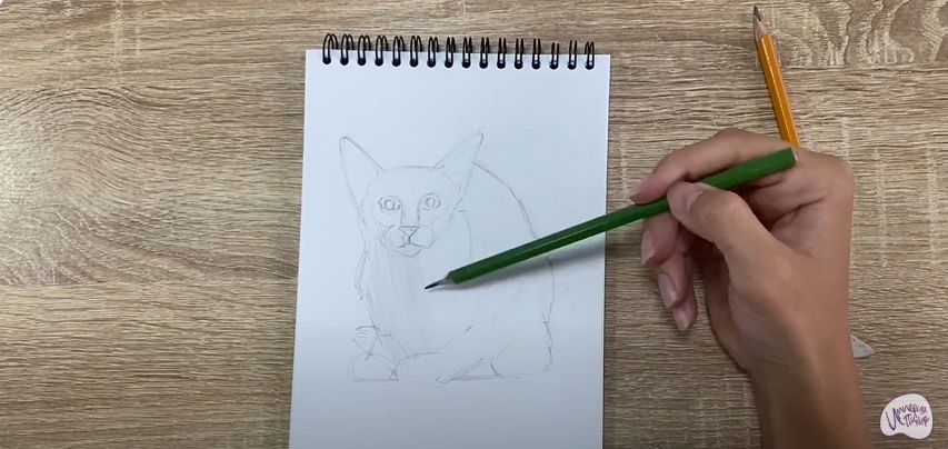 Рисуем Балинезийская кошка