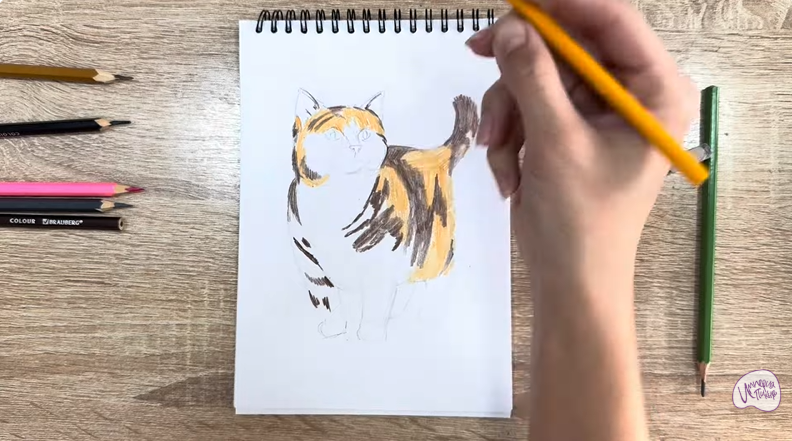 Рисуем Кошка породы "Манчкин"