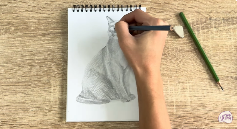 Рисуем Бурманский кот