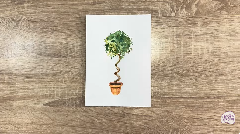 Рисуем Мирт обыкновенный