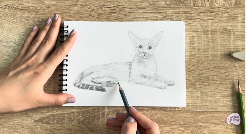 Рисуем Ориентальная кошка