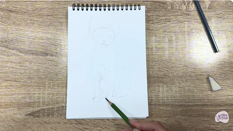 Рисуем Девон Рекс