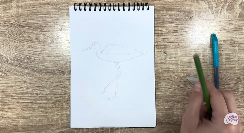 Рисуем Шилоклювка