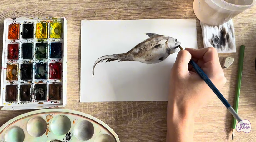 Рисуем Макрурус