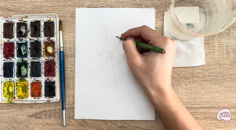 Рисуем Ясколка длинноволосая