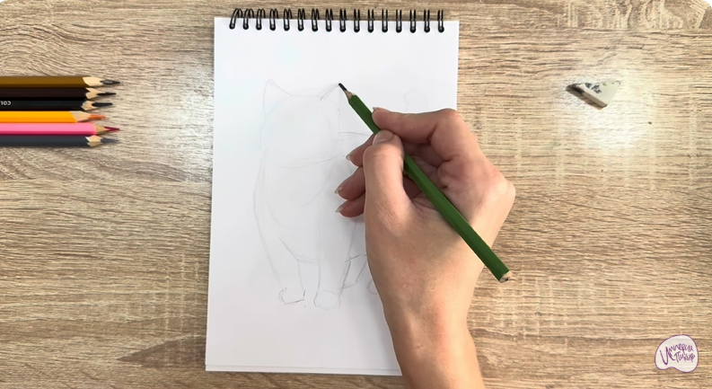 Рисуем Кошка породы "Манчкин"