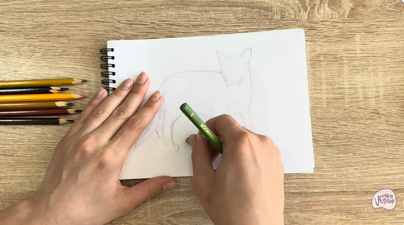 Рисуем Кот породы Оцикет