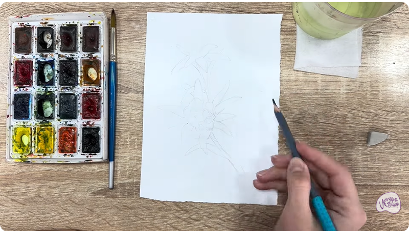 Рисуем Эдельвейс