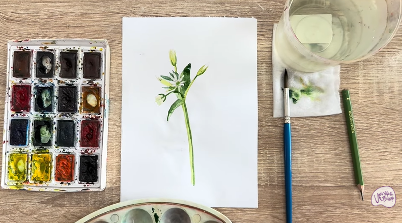 Рисуем Ясколка длинноволосая