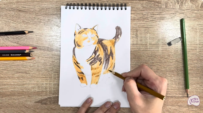 Рисуем Кошка породы "Манчкин"