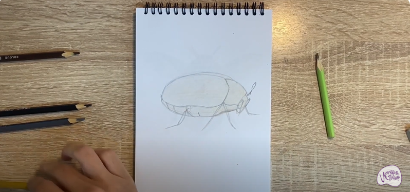 Рисуем Кожеед