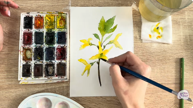 Рисуем Форзиция