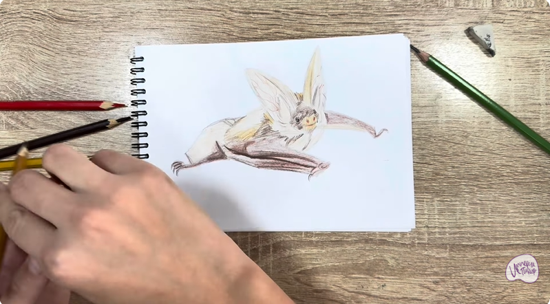 Рисуем Бурый ушан