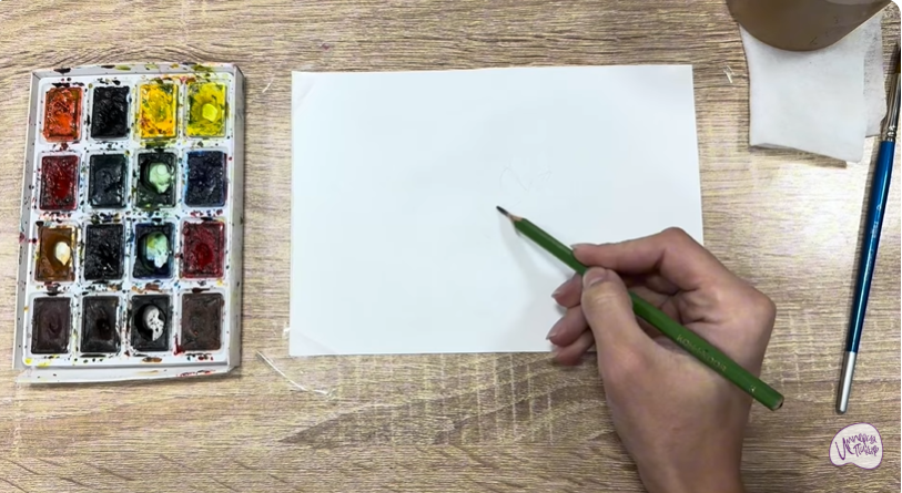 Рисуем Очиток