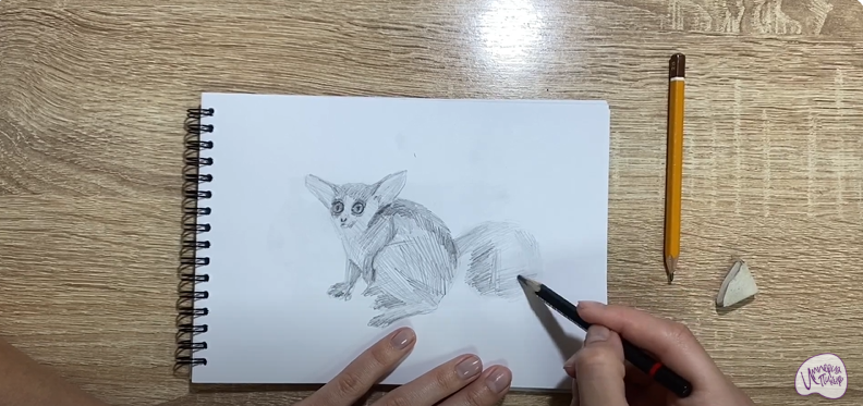 Рисуем Галаго