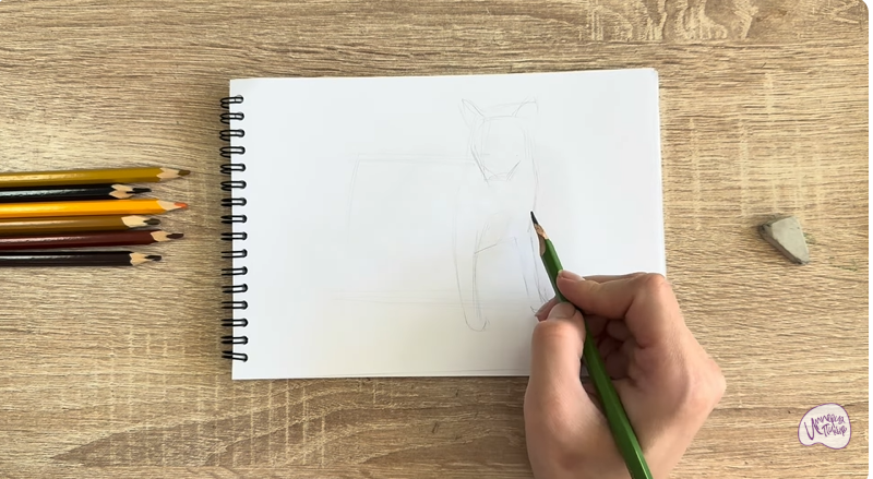 Рисуем Кот породы Оцикет