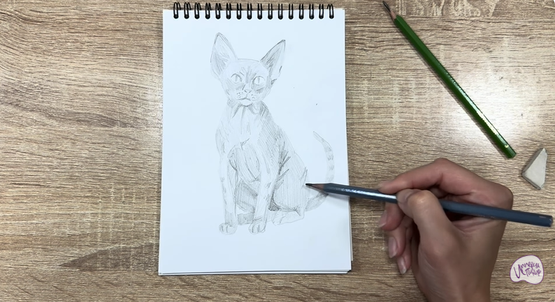 Рисуем Девон Рекс