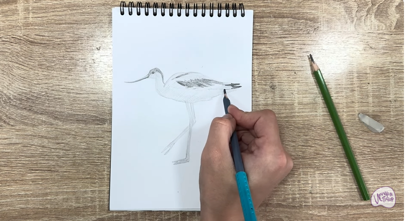 Рисуем Шилоклювка