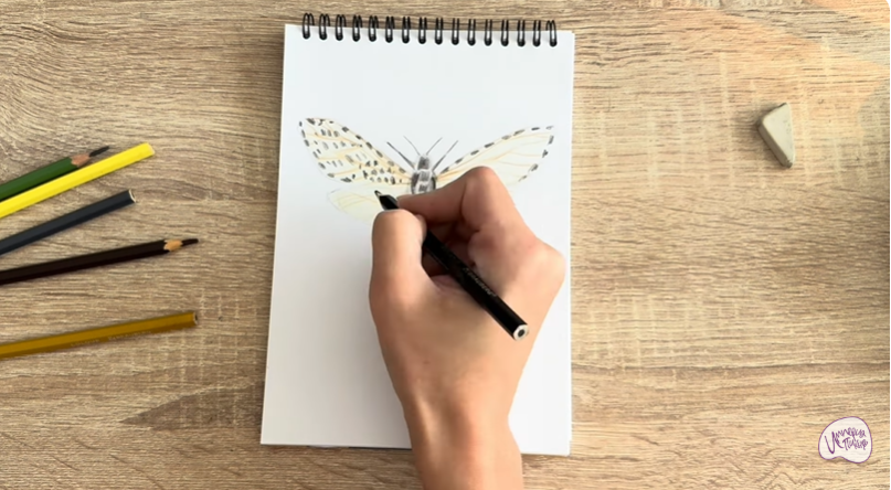 Рисуем Древесница въедливая