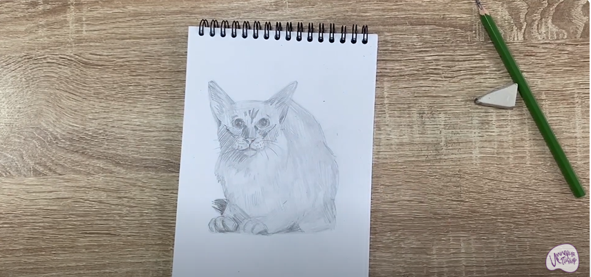 Рисуем Балинезийская кошка