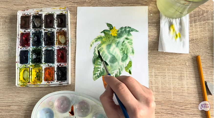Рисуем Афеландра в горшке
