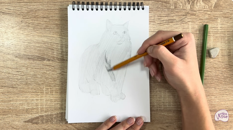 Рисуем Норвежский лесной кот