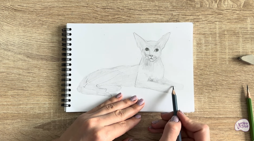 Рисуем Ориентальная кошка