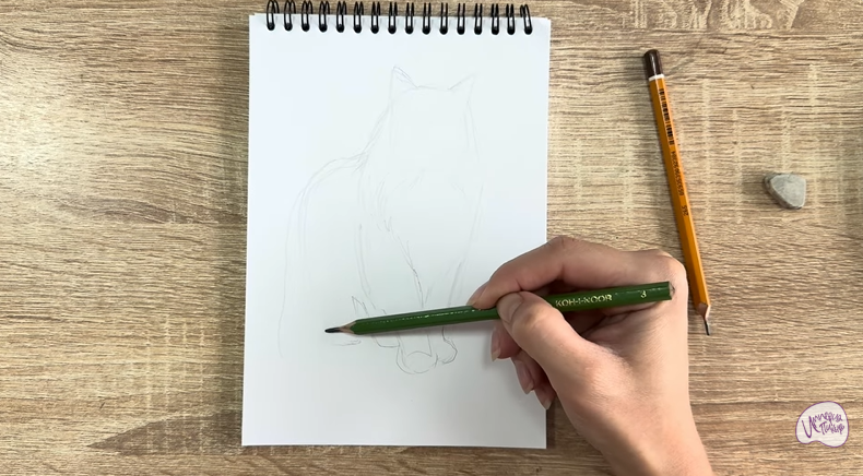 Рисуем Норвежский лесной кот