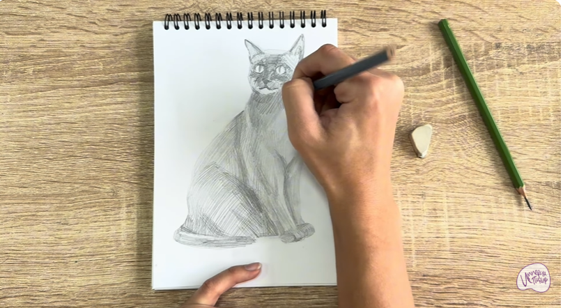 Рисуем Бурманский кот