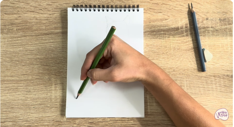 Рисуем Бурманский кот