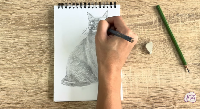 Рисуем Бурманский кот