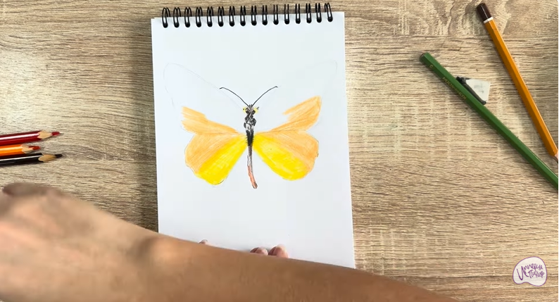 Рисуем Малинница обыкновенная