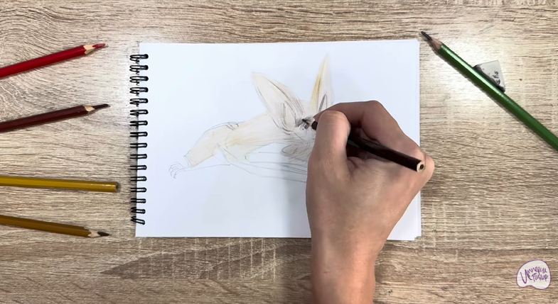 Рисуем Бурый ушан