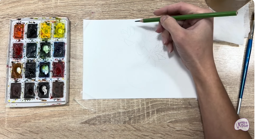 Рисуем Очиток