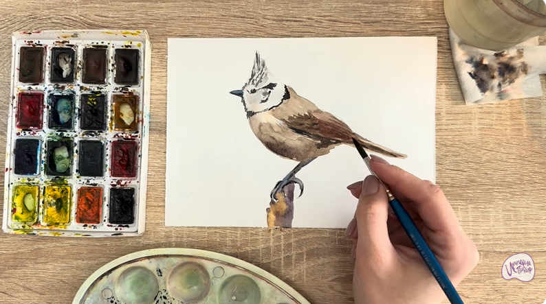 Рисуем Хохлатая синица