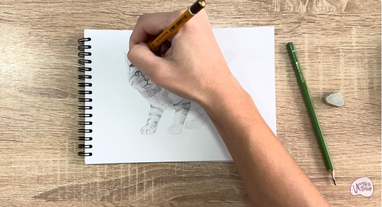 Рисуем Пиксибоб