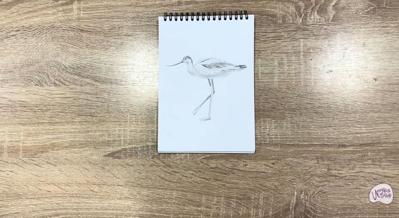 Рисуем Шилоклювка