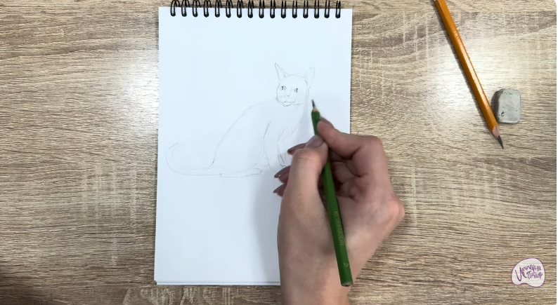 Рисуем Кот породы "Корат"