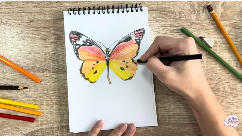 Рисуем Малинница обыкновенная