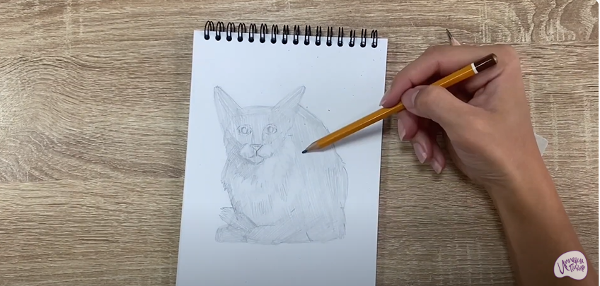 Рисуем Балинезийская кошка