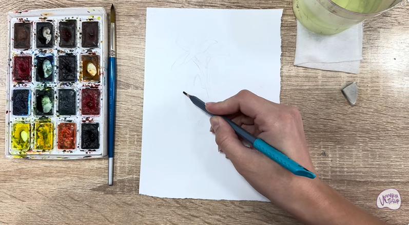 Рисуем Эдельвейс