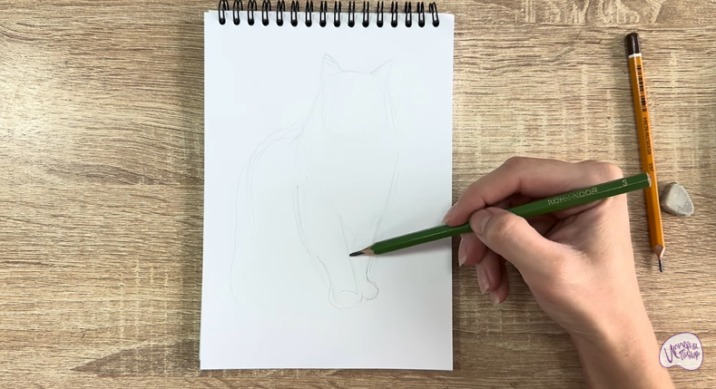 Рисуем Норвежский лесной кот