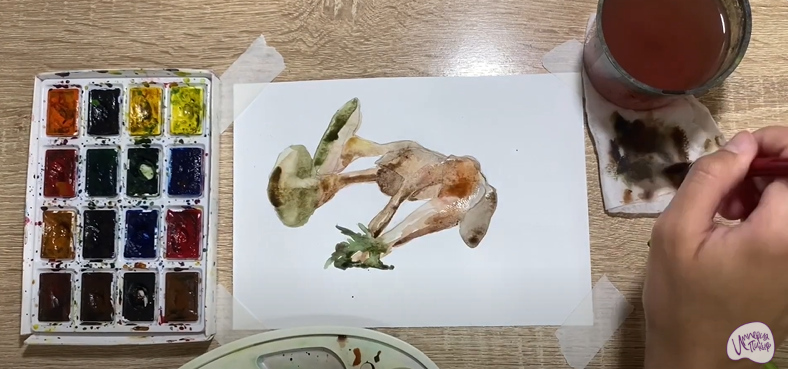 Рисуем Аскокорине торфяная