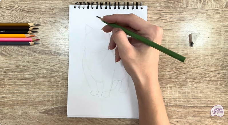 Рисуем Кошка породы "Манчкин"