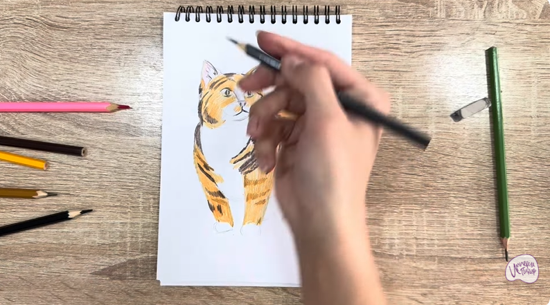 Рисуем Кошка породы "Манчкин"