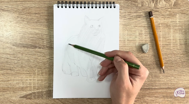 Рисуем Норвежский лесной кот