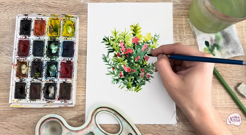 Рисуем Тис ягодный