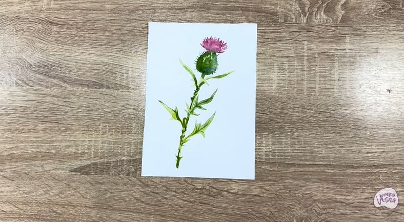 Рисуем Бодяк