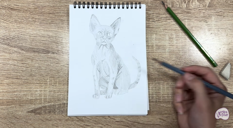 Рисуем Девон Рекс